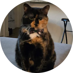 Personal photo of Kate Neiberger 3